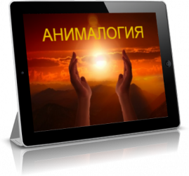 Анималогия